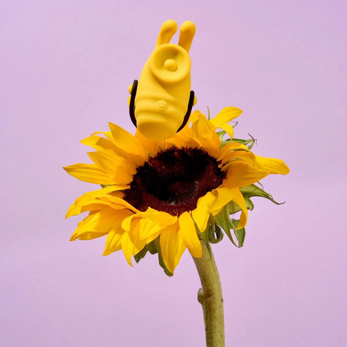 Bumble Bee Camtoyz Bumble Bee Camtoyz